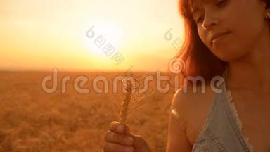 金环在麦穗上的麦穗在姑娘的手中浪漫地走在乡间近前。